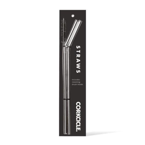 Tumbler Straw 2-Pack